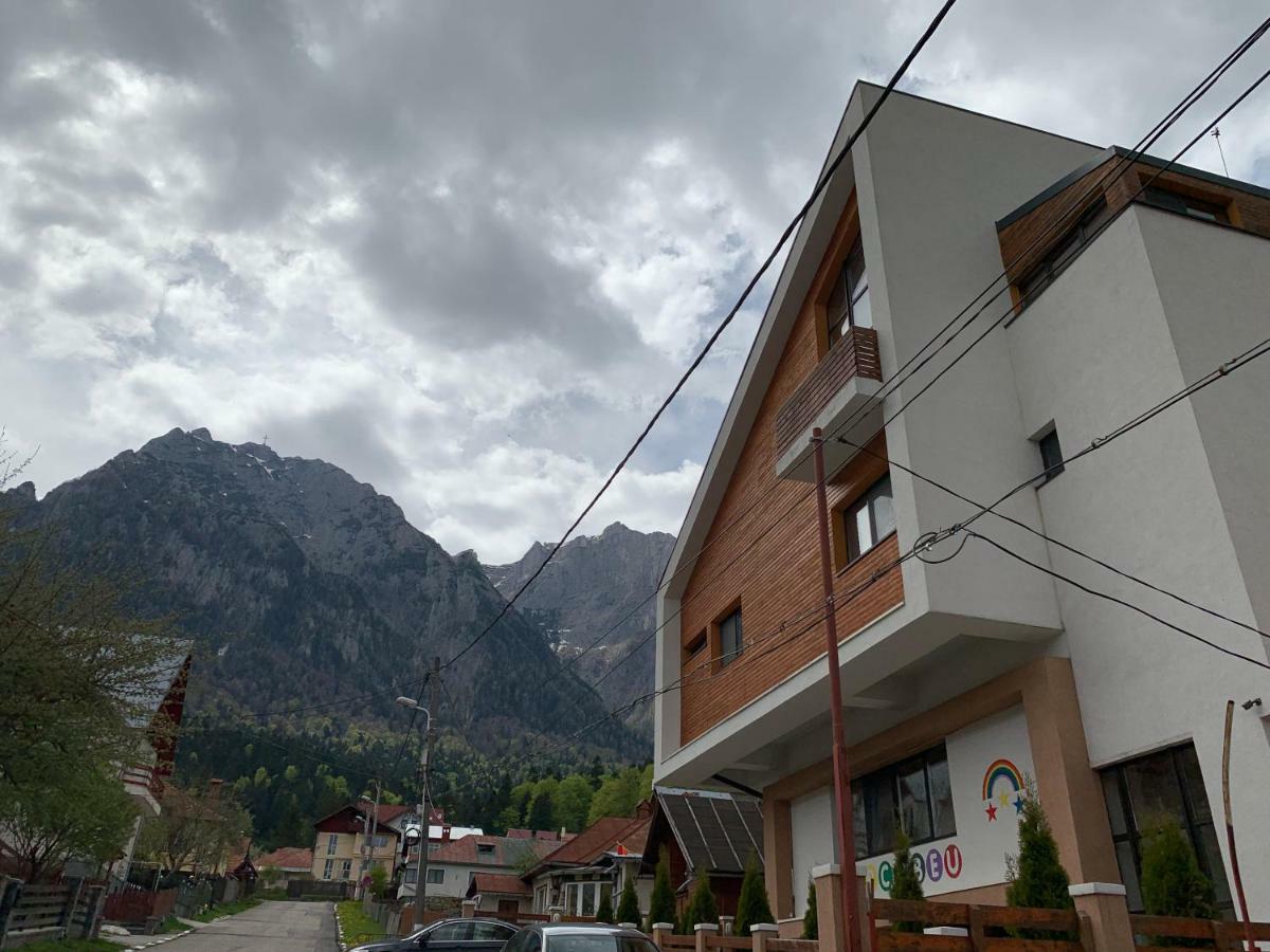 Vila Curcubeu Hotel Buşteni Exterior foto